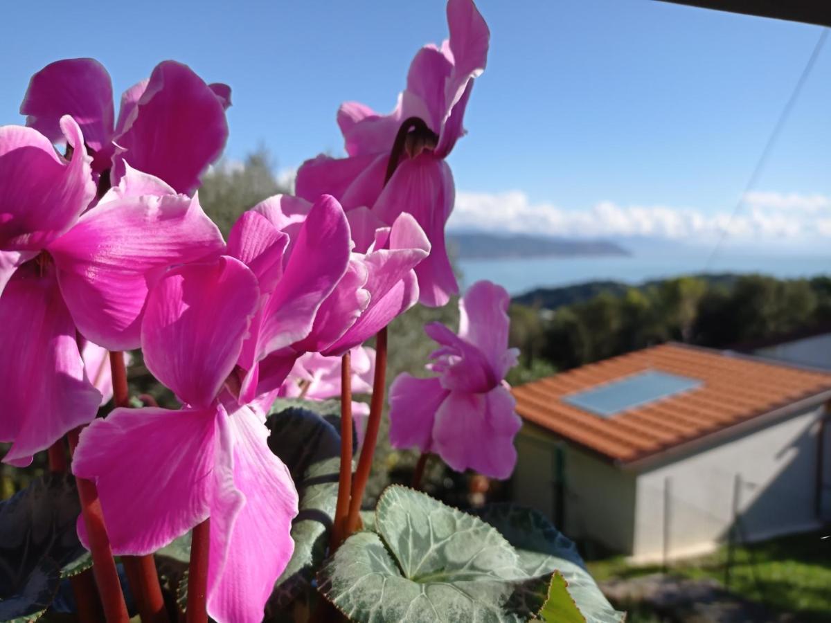 Le Vigne Di Lenf Appartement Porto Venere Buitenkant foto