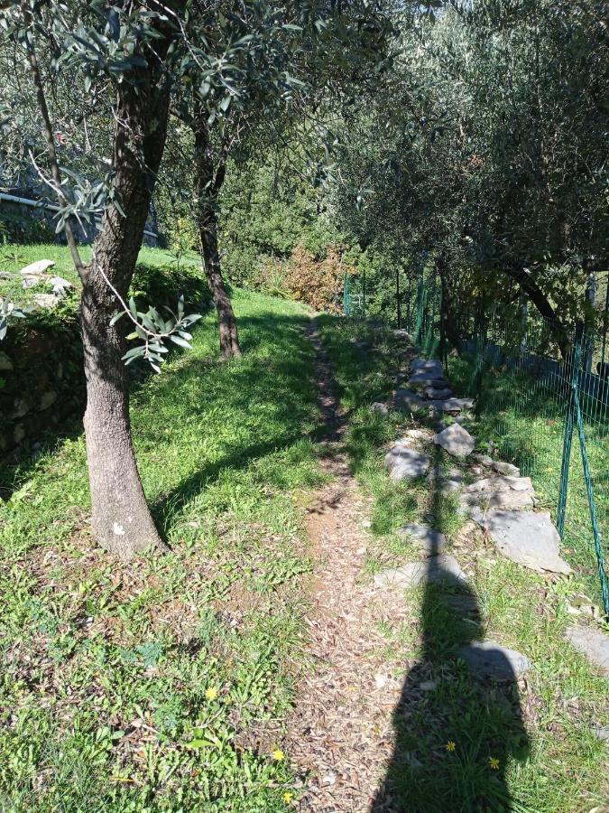 Le Vigne Di Lenf Appartement Porto Venere Buitenkant foto